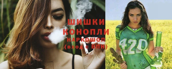 бошки Надым