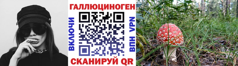 Купить где Карабаш Галлюциногенные грибы MAGIC MUSHROOMS