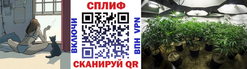 Бошки Шишки индика  Купить  Карабаш 